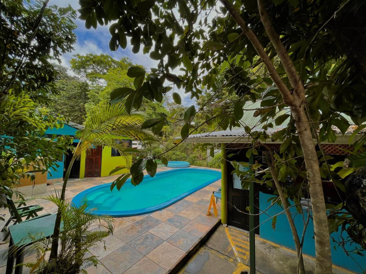 Los Amigos Jungle Hotel Тортугеро Екстер'єр фото