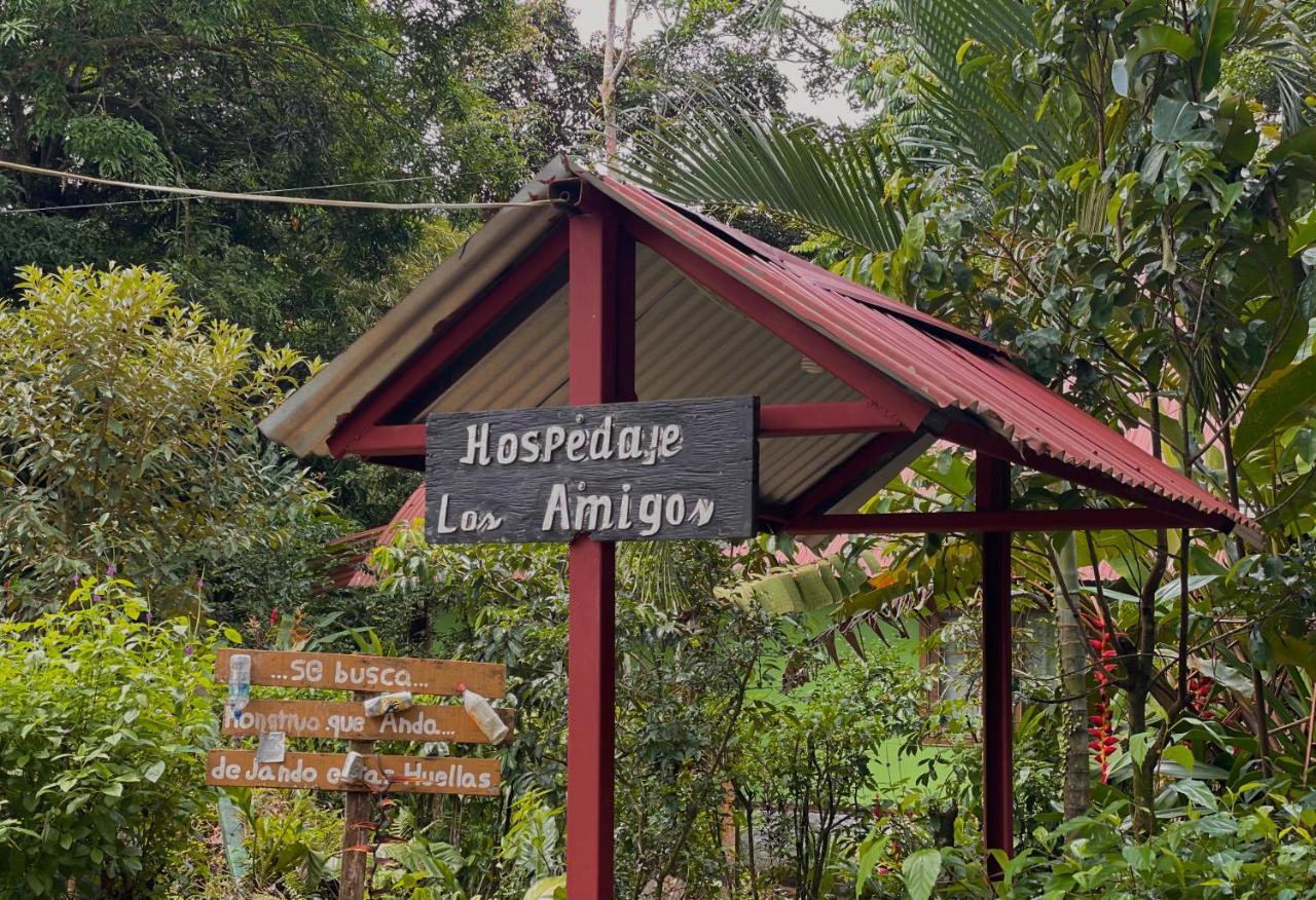 Los Amigos Jungle Hotel Тортугеро Екстер'єр фото