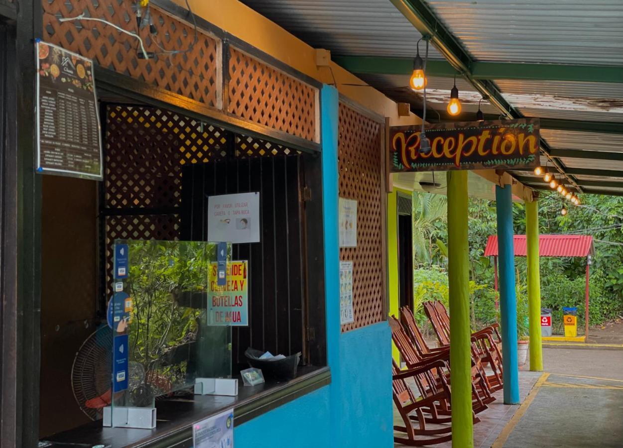 Los Amigos Jungle Hotel Тортугеро Екстер'єр фото