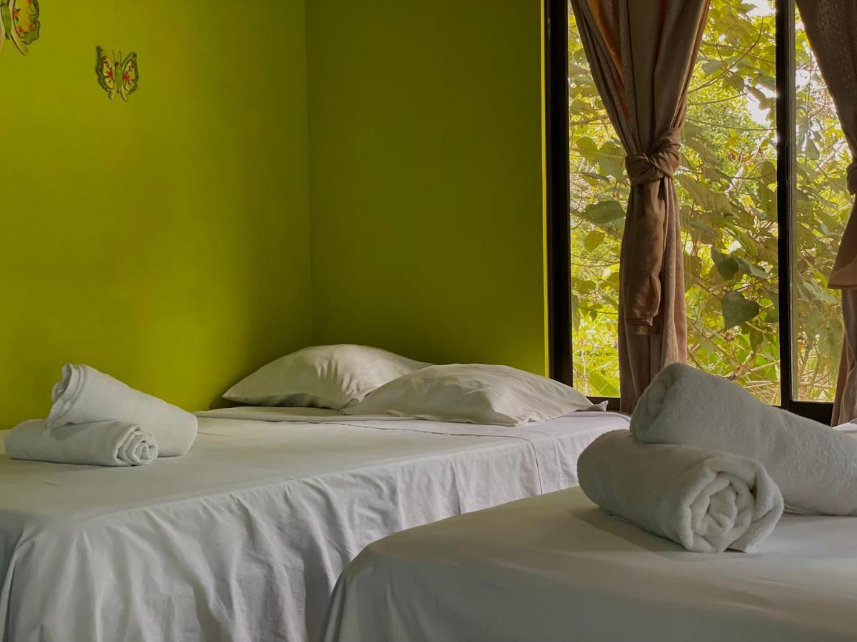 Los Amigos Jungle Hotel Тортугеро Екстер'єр фото