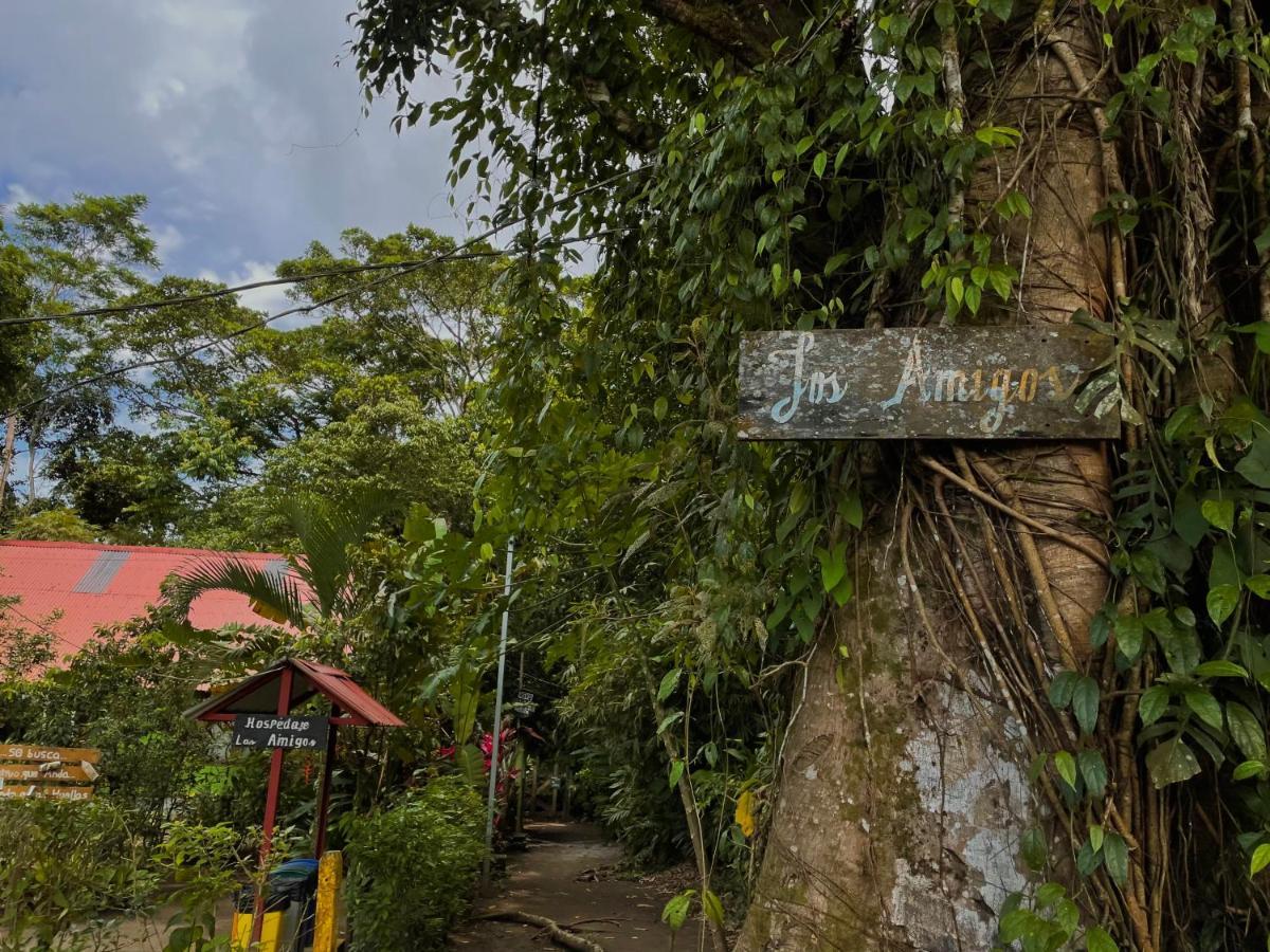 Los Amigos Jungle Hotel Тортугеро Екстер'єр фото