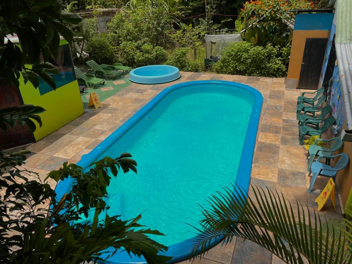Los Amigos Jungle Hotel Тортугеро Екстер'єр фото