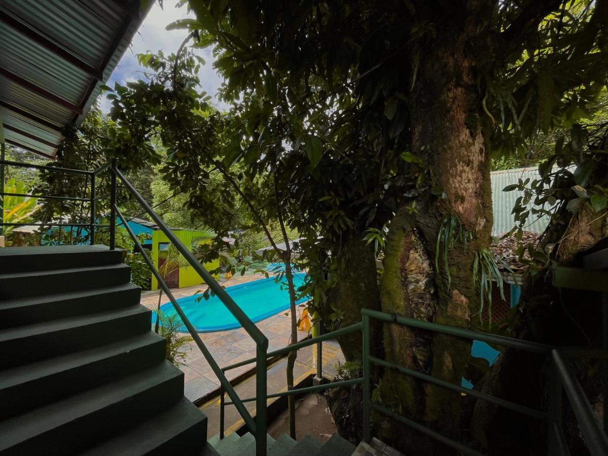 Los Amigos Jungle Hotel Тортугеро Екстер'єр фото