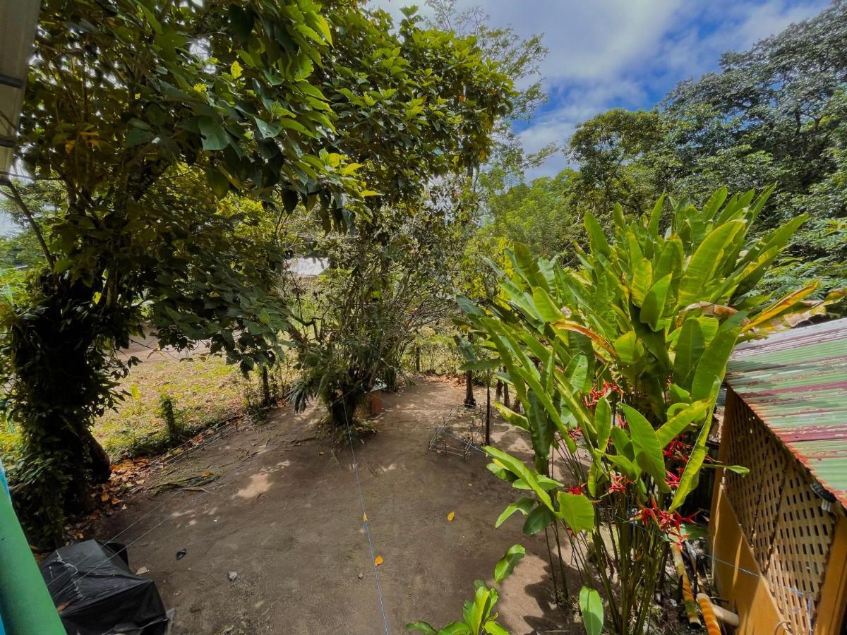 Los Amigos Jungle Hotel Тортугеро Екстер'єр фото
