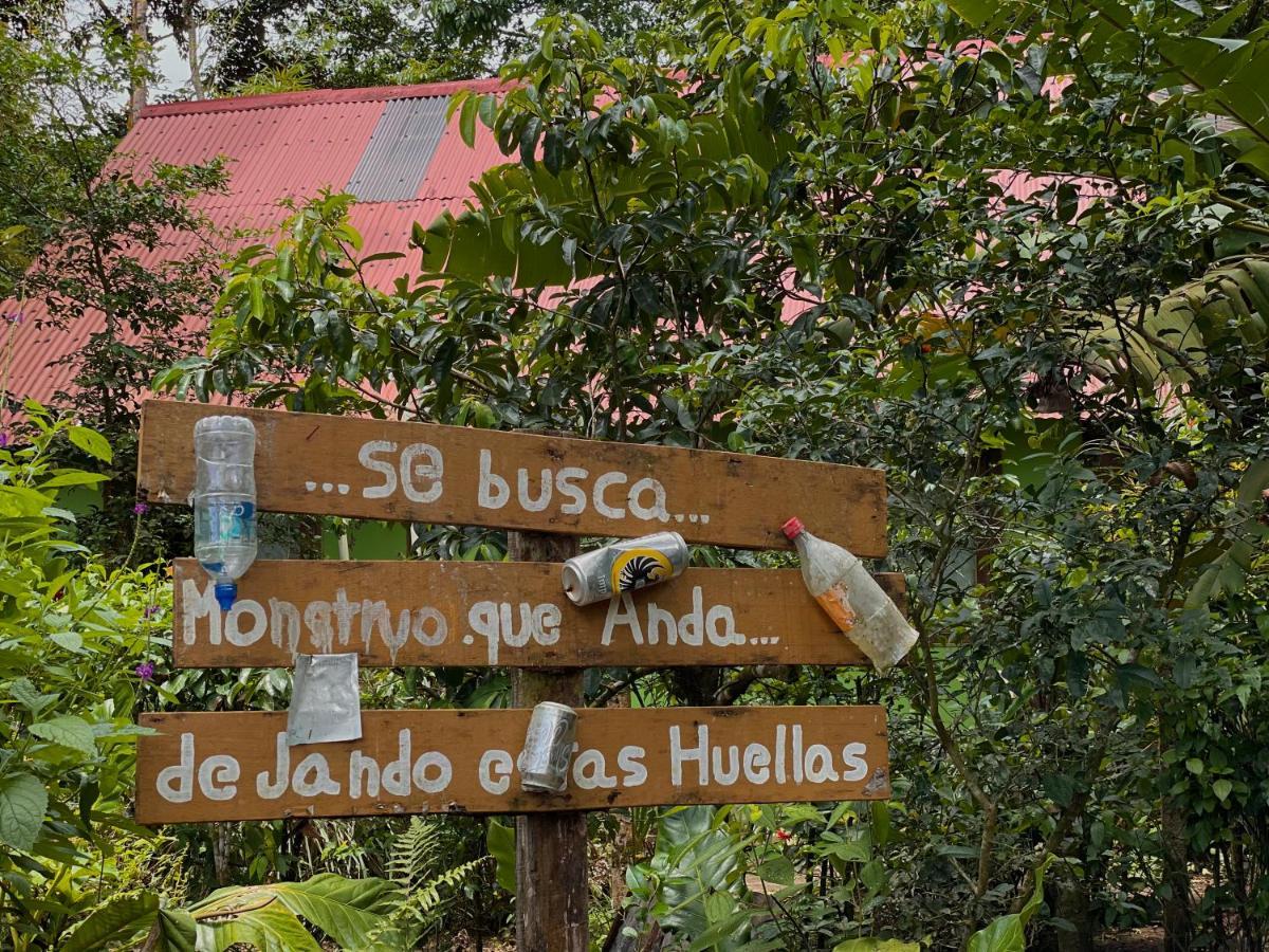 Los Amigos Jungle Hotel Тортугеро Екстер'єр фото