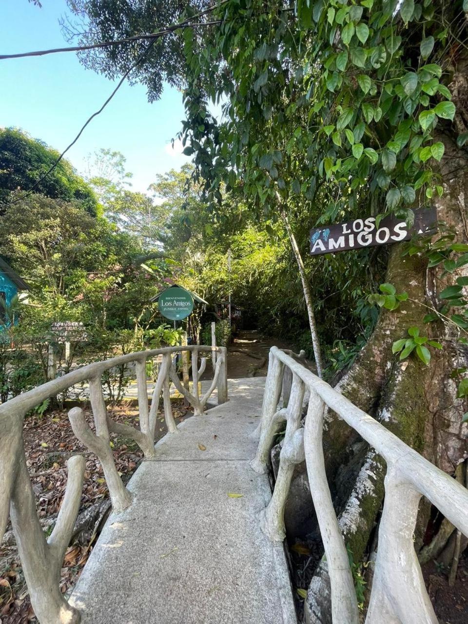 Los Amigos Jungle Hotel Тортугеро Екстер'єр фото